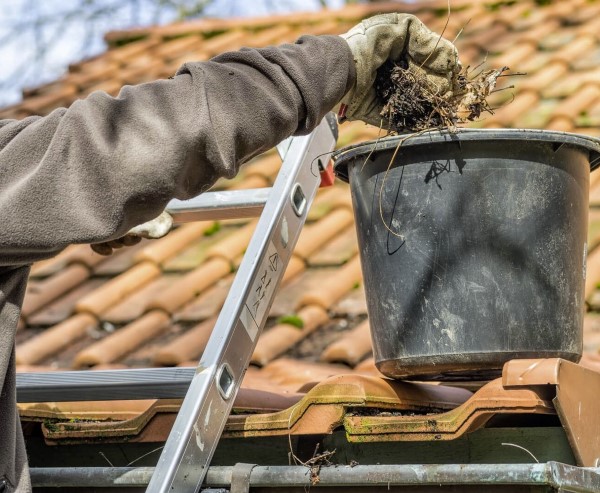 nettoyage gouttières